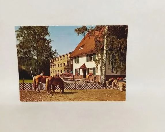 ​Ansichtskarte-A767-Sanatorium Dr. Wagner. Sasbachwalden.