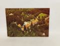 Kleinanzeige Ansichtskarte-A759-Waldklinik Jesteburg-Rüsselkäfer.