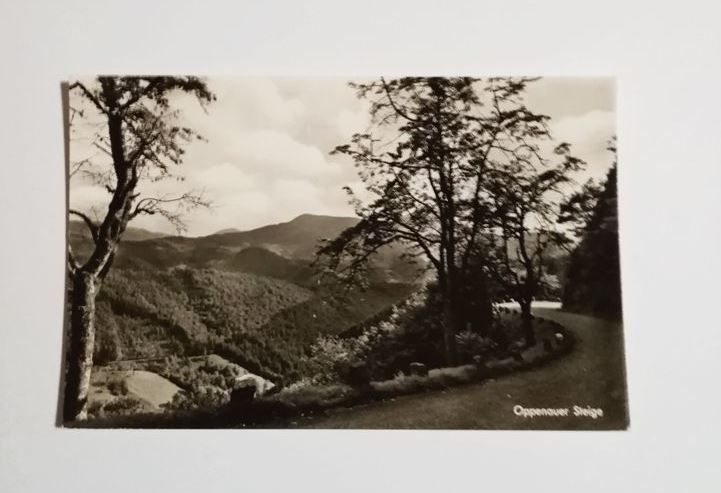 AK. Oppenauer Steige im Schwarzwald.