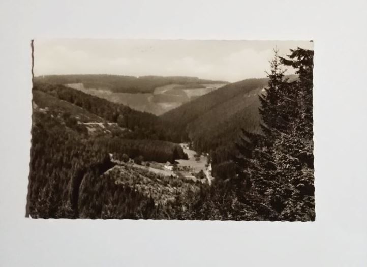 Ansichtskarte-AK. Gehren-Endorf. Haus Waldfrieden.
