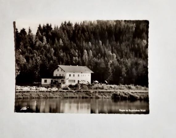 Ansichtskarte-AK 512.Regen Bayer. Wald. Hotel Seerose.