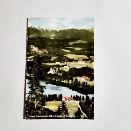 Ansichtskarte-AK 534. Titisee im Schwarzwald.