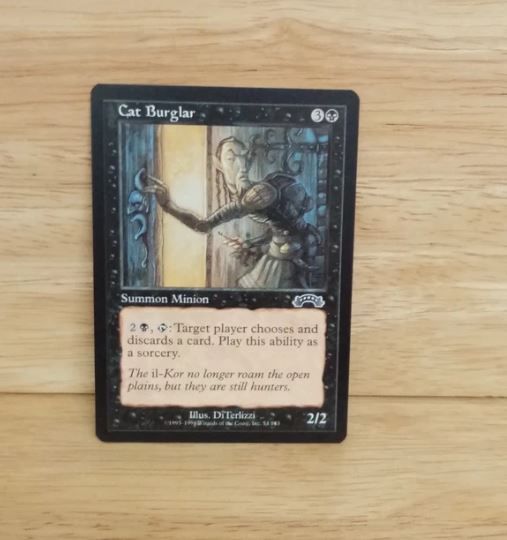 ​Magic The Gathering-Cat Burglar