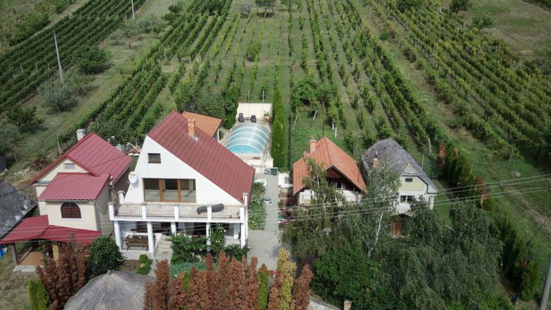 Haus mit Nebenhäusern, Pool und Weinberg in Vinica / Slowakei