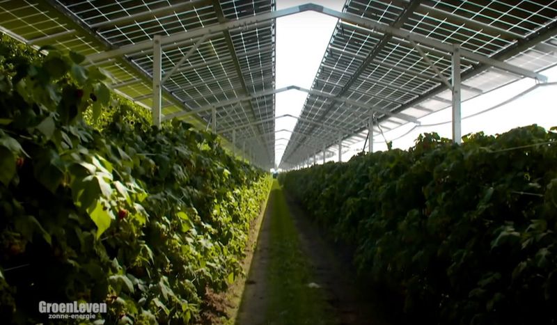 Umwelt-Projekt mit hoher Rendite auf der Insel Martinique