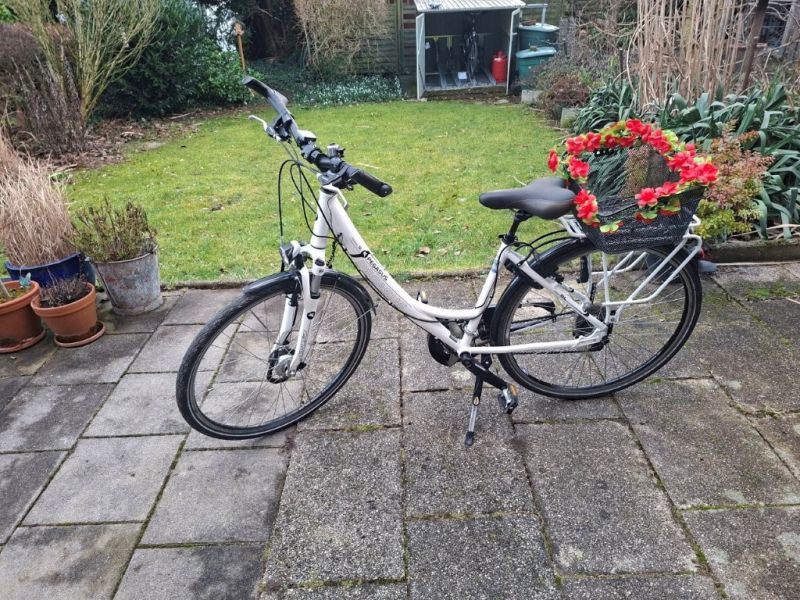 Damenfahrrad Pegasus Premio SL