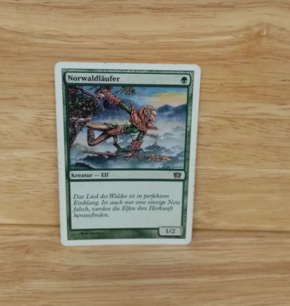 Magic The Gathering-So-582-Norwaldläufer
