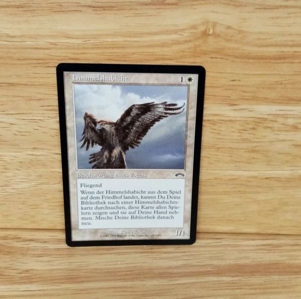 Magic The Gathering-So-2174-Himmelshabicht Exodus -
