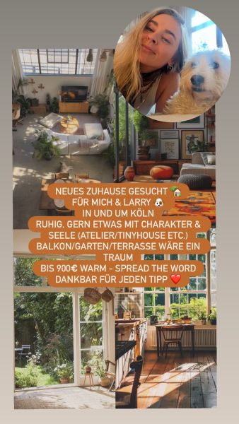 Flugbegleiterin sucht langfristiges Zuhause