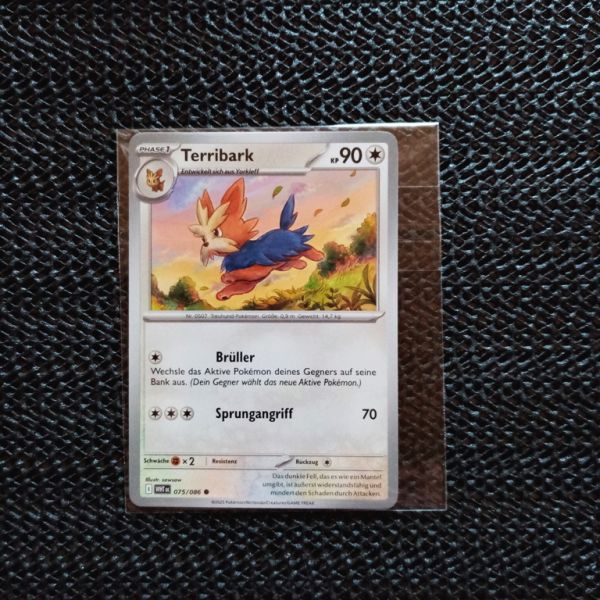 Pokemon Sammelkarte --Terribark