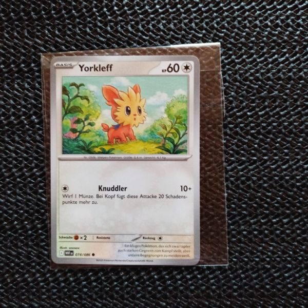 Pokemon Sammelkarte --Yorkleff