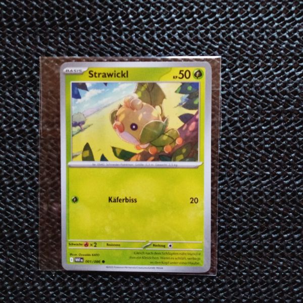 Pokemon Sammelkarte --Strawicki