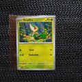 Kleinanzeige Pokemon Sammelkarte --Serpifeu