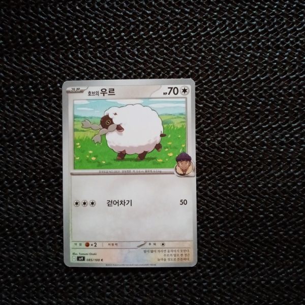 Pokemon Sammelkarte,siehe Bild.sv9-085