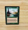 Magic The Gathering-So-1048-- Untamed Wilds -