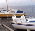 1 Tag Neptun 22 segeln auf dem Steinhuder Meer - Mardorf
